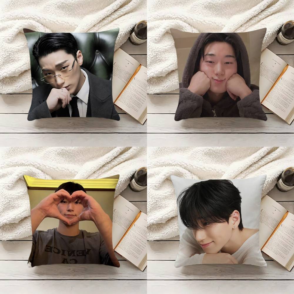 C-Choi S-San Pillow Cover Sofa - Home Textiles Inc 评论和价格