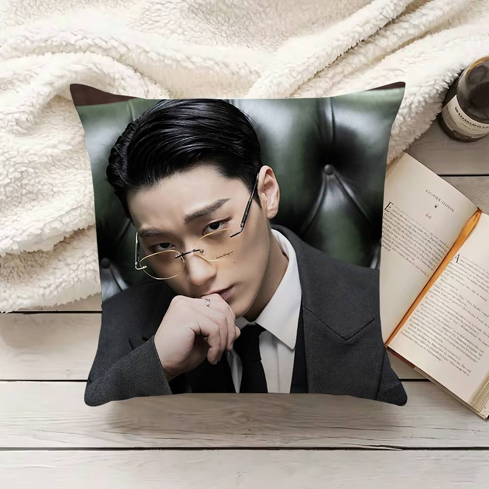 C-Choi S-San Pillow Cover Sofa - Home Textiles Inc 评论和价格