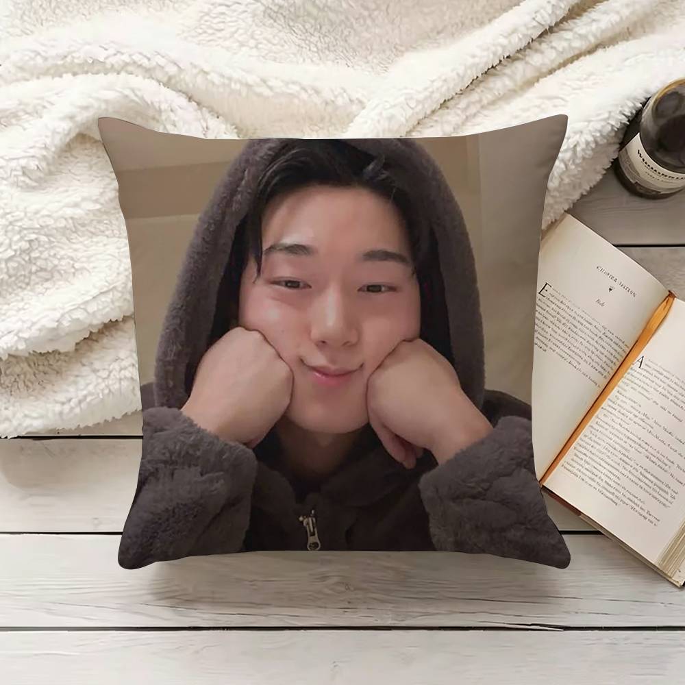 C-Choi S-San Pillow Cover Sofa - Home Textiles Inc 评论和价格